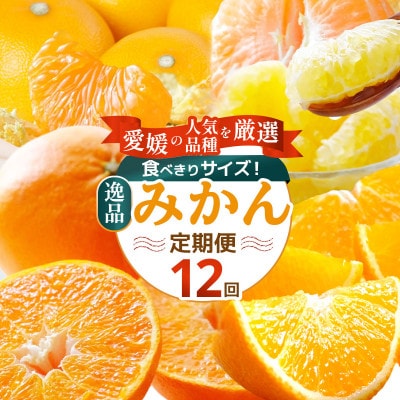 【発送月固定定期便】食べ切り少量サイズ 愛媛の人気品種!柑橘定期便(秀品)全12回【H25-156】