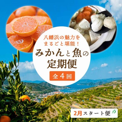 【発送月固定定期便】みかんと魚の町八幡浜!みかんと魚の定期便～2月スタート便【H25-89】全4回