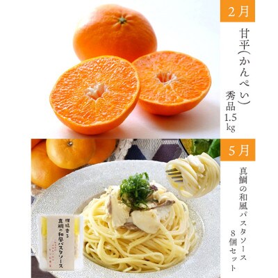 【発送月固定定期便】みかんと魚の町八幡浜!みかんと魚の定期便～2月スタート便【H25-89】全4回