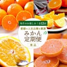 【発送月固定定期便】愛媛の人気品種を厳選!みかん定期便(秀品)【H25-166】全12回