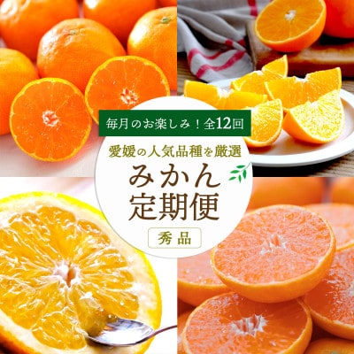 【発送月固定定期便】愛媛の人気品種を厳選!みかん定期便(秀品)【H25-166】全12回