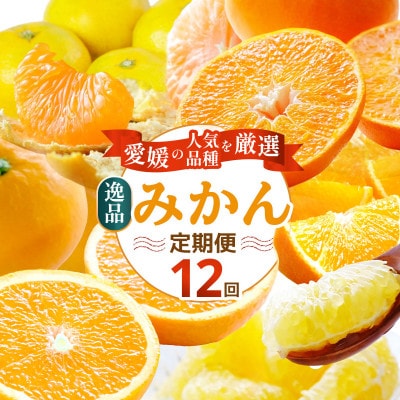 【発送月固定定期便】愛媛の人気品種を厳選!みかん定期便(秀品)【H25-166】全12回