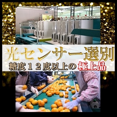 日の丸みかん「ゴールド千兩」3kg　サイズSまたは2S/約35～45個/光センサー【D79-4】