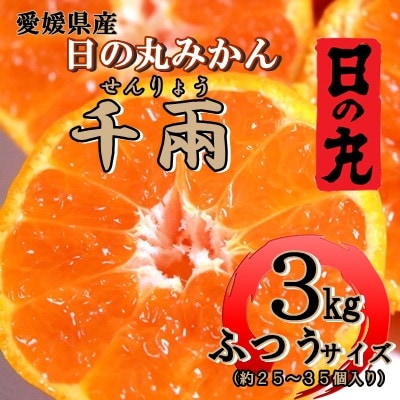 日の丸みかん「千兩」3kg　約25～35個/LまたはMサイズ/光センサー使用【C79-6】