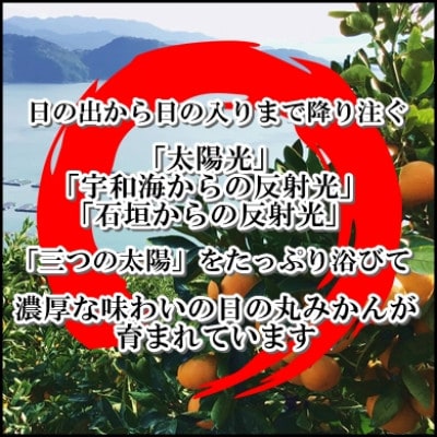日の丸みかん「千兩」3kg　約25～35個/L・Mサイズ/2箱セット/光センサー使用【D79-7】