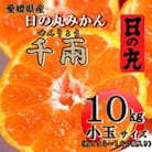 日の丸みかん「千兩」10kg　2S(小玉)サイズ/約130～160個【D79-10】
