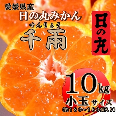 日の丸みかん「千兩」10kg　2S(小玉)サイズ/約130～160個【D79-10】