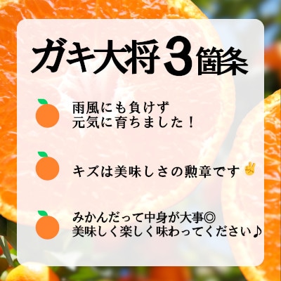 自然の恵み!「ガキ大将」3kg(小玉サイズ)/日の丸みかん/ご家庭用/2箱セット【C79-17】