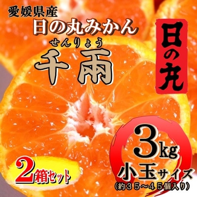 日の丸みかん「千兩」3kg　約35～45個/2箱セット/S・2Sサイズ/光センサー使用【D79-9】