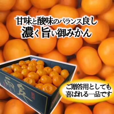 日の丸みかん「千兩」3kg　約35～45個/2箱セット/S・2Sサイズ/光センサー使用【D79-9】