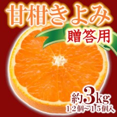 「甘柑きよみ」贈答用3kg【C79-26】