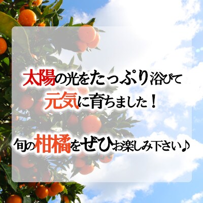 「甘柑しらぬひ」5kg サイズ2LまたはL/約20～25個【C79-25】