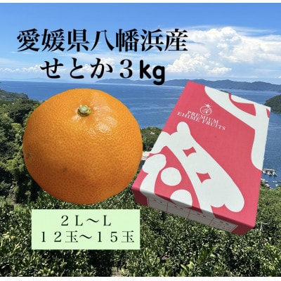 愛媛県八幡浜産「せとか」3kg　サイズ2L～L/12玉～15玉【F79-28】