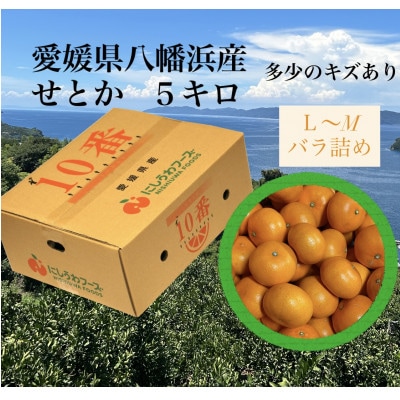 愛媛県八幡浜産「せとか」5kg　サイズL～M【F79-29】