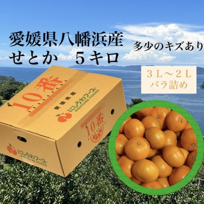 愛媛県八幡浜産「せとか」5kg　サイズ3L～2L【F79-30】