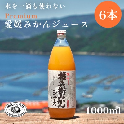 【水を一滴も使わない】愛媛みかん100%ストレートジュース 1000ml×6本【G70-2】