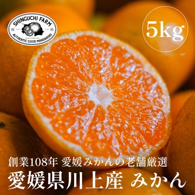 農家直送!愛果28号→家庭用5kg✖️2箱 (愛媛の柑橘 無添加 農家直送!愛果28号→家庭用5kg✖️2箱 (愛媛の柑橘 無添加