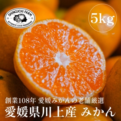 愛媛みかんの老舗厳選【愛媛県川上産 みかん5kg】新口農園【C70-1】