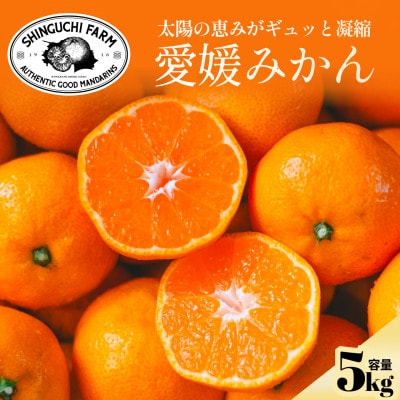 【太陽の旨みがギュッと凝縮】愛媛みかん5kg 農家直送 愛媛県川上産【C70-1】