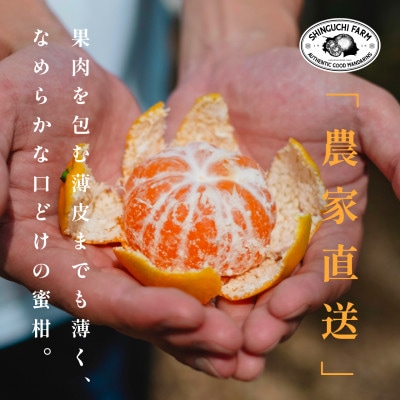 ワケまどんな（別名:紅まどんな）訳あり 5kg L-4L みため×おいし