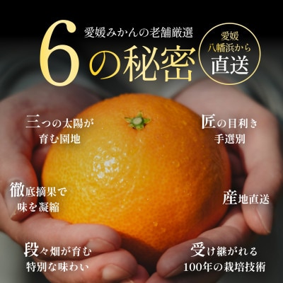 【完熟限定】五代目が厳選した「完熟」まどんな 2kg【紅まどんな と同品種】【C70-6】