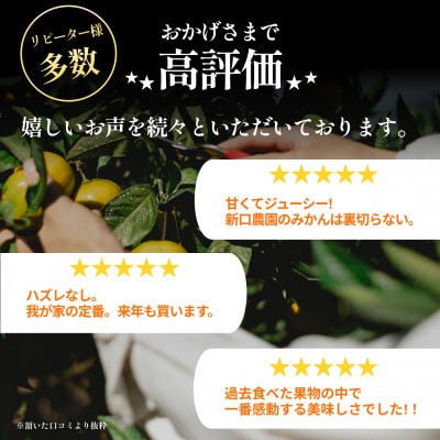【今シーズン発送開始】五代目が厳選!【完熟】まどんな 2kg【紅まどんな と同品種】【C70-6】