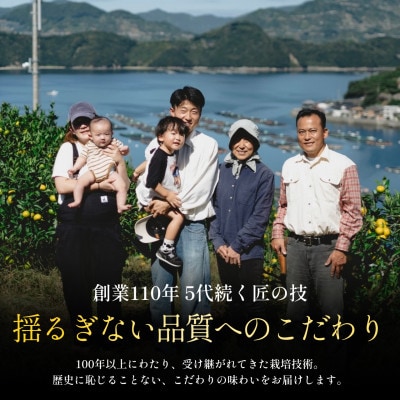【完熟限定】五代目が厳選した「完熟」まどんな 3kg【紅まどんな と同品種】【E70-7】