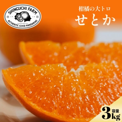 柑橘の大トロ【せとか 3kg】～とろける濃厚果実～【E70-9】