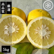 【木成り完熟】新口農園厳選 文旦 5kg【C70-31】