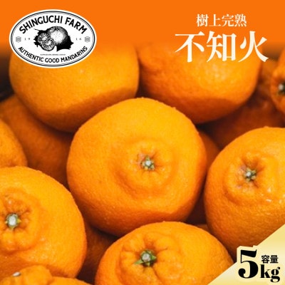 【先行予約 2027年発送】不知火(デコ)5kg甘みと程よい酸味のバランスが絶妙【D70-30】