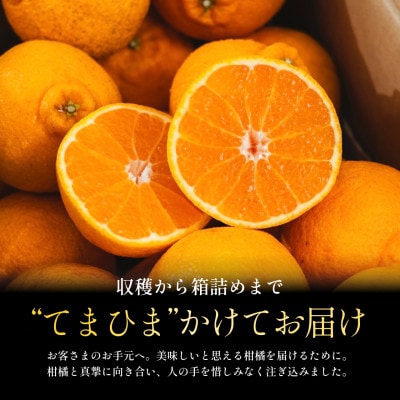 【先行予約 2027年発送】不知火(デコ)5kg甘みと程よい酸味のバランスが絶妙【D70-30】