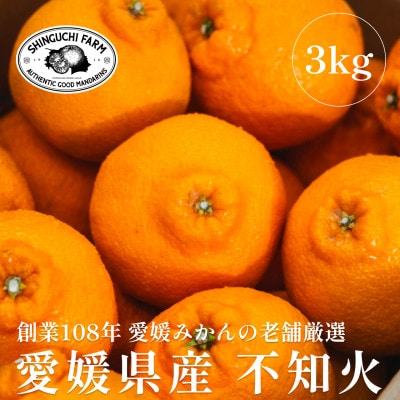 創業百八年 愛媛みかんの老舗【不知火3kg】家庭用【新口農園】【C70-29】
