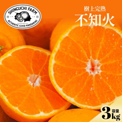 【樹上完熟】不知火(デコ)3kg『甘みと程よい酸味のバランスが絶妙』【C70-29】