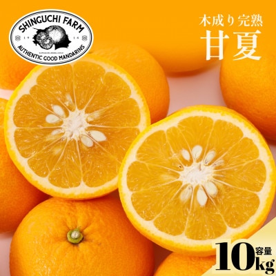 【木成り完熟】甘夏 10kg 『ほのかな苦味とスッキリした甘み』【E70-27】