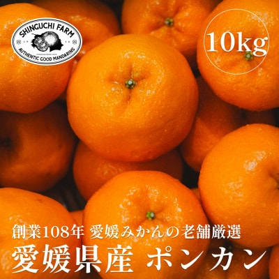創業百八年 愛媛みかんの老舗【ポンカン10kg】家庭用【新口農園】【E70-25】