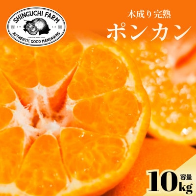 【甘味と酸味のバランスが絶妙】ポンカン 10kg 愛媛県産【G70-25】
