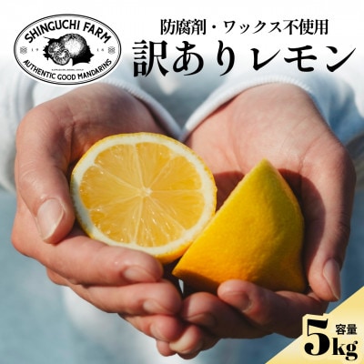 【太陽の恵みをギュッと凝縮】訳あり 愛媛レモン5kg 防腐剤・ワックス不使用【C70-22】