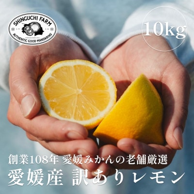 【訳あり】レモン 10kg【防腐剤・ワックス不使用】新口農園【E70-23】