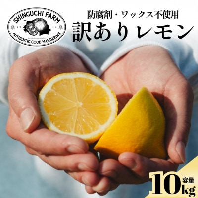 【太陽の恵みをギュッと凝縮】訳あり 愛媛レモン10kg 防腐剤・ワックス不使用【F70-23】