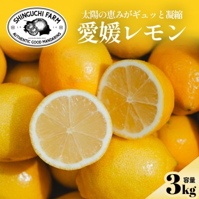 【皮まで食べられる】愛媛育ちのレモン 3kg 防腐剤・ワックス不使用【C70-20】
