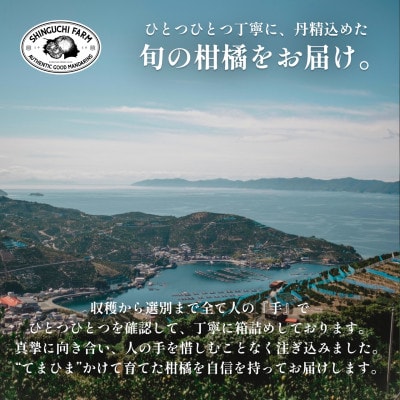 愛媛県産レモン 3kg【防腐剤・ワックス不使用】新口農園【C70-20】