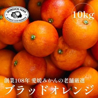 創業百八年 愛媛みかんの老舗【ブラッドオレンジ 10kg】 新口農園【F70-19】