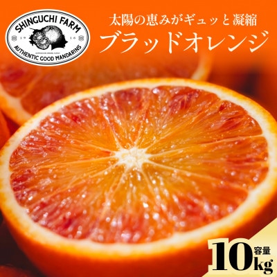【太陽の恵みをギュッと凝縮】ブラッドオレンジ 10kg 愛媛県産【G70-19】