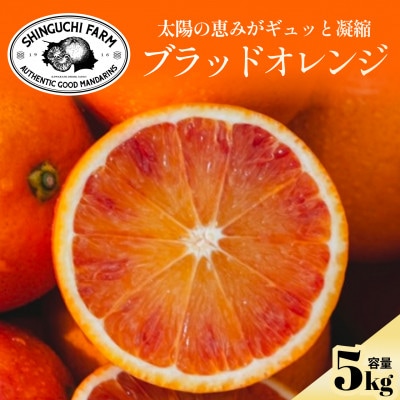 【太陽の恵みをギュッと凝縮】ブラッドオレンジ 5kg 愛媛県産【D70-18】
