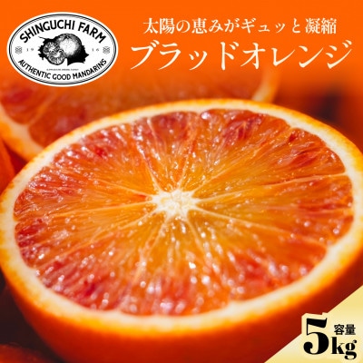 【太陽の恵みをギュッと凝縮】ブラッドオレンジ 5kg 愛媛県産【D70-18】