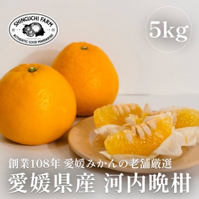 創業108年 愛媛みかんの老舗【河内晩柑 5kg】【新口農園】【C70-16】