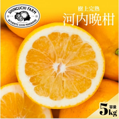 【太陽の恵みをギュッと凝縮】河内晩柑 5kg 愛媛県産【D70-16】