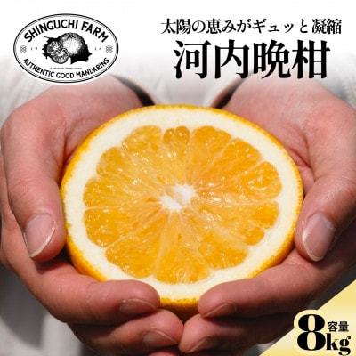 【太陽の恵みをギュッと凝縮】河内晩柑 8kg 愛媛県産【F70-17】