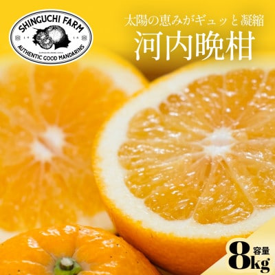 【太陽の恵みをギュッと凝縮】河内晩柑 8kg 愛媛県産【F70-17】