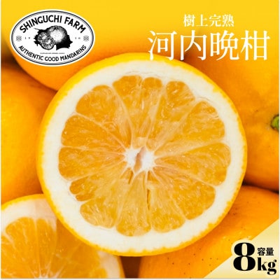 【太陽の恵みをギュッと凝縮】河内晩柑 8kg 愛媛県産【F70-17】